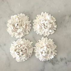 four white flowers sitting on top of a marble counter