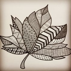 a black and white drawing of a leaf with lines on it's leaves are drawn in