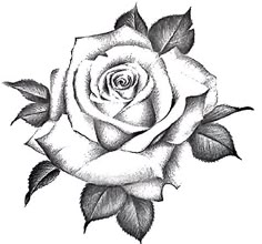 a black and white drawing of a rose