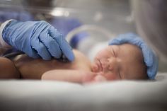 a close up of a baby in a inclosure with blue gloves on it's head