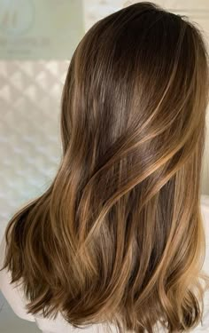 Highlight On Medium Brown Hair, Light Natural Highlights, Color For Straight Hair, Fall Tones Hair, Short Brown Hair With Balayage, Sandy Beige Brown Hair, Dark Blonde Hair Styles, Minimal Highlights Brown Hair, Cool Toned Sandy Brown Hair