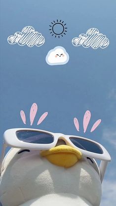 a close up of a stuffed animal with sunglasses on it's face and clouds in the sky