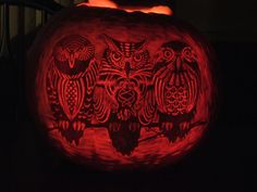 an owl carved into a pumpkin in the dark