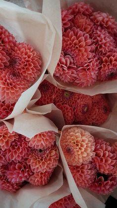 some pink flowers are in white paper bags