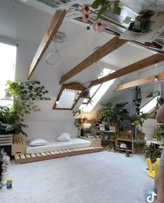 a room with lots of plants in it and a bed on the far side of the room