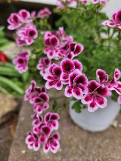 pink and white flowers sitting in a vase on a stone slab next to green plants