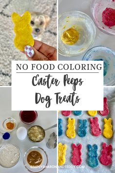 no food coloring cat pees dog treats for kids and adults to make with them