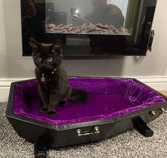 a black cat sitting on top of a purple suitcase