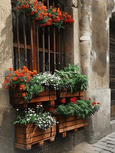 an old building with flower boxes on the windowsill and flowers growing out of them