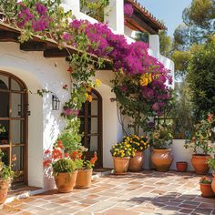 many potted plants and flowers on the outside of a house