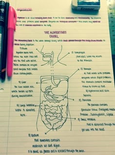 a notebook with a diagram of the human body on it and two pens next to it