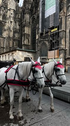 two white horses pulling a carriage in front of an old building with large windows and tall spires