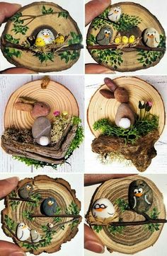 four different pictures of rocks and birds in a tree stump with moss growing on them