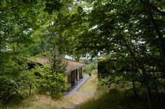 the house is surrounded by trees and has a path through it to the other side