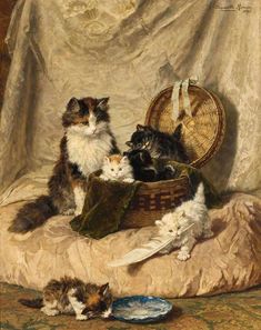 three kittens in a basket on a cloth covered chair with other cats around it