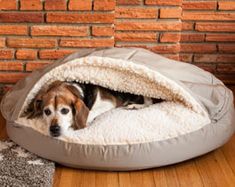 a brown and white dog laying on top of a bed in front of a brick wall