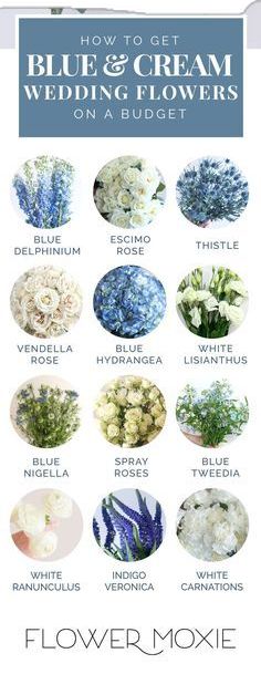 blue and cream wedding flowers on a budget guide for brides, grooms, and guests