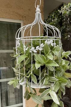 a white birdcage filled with green leaves