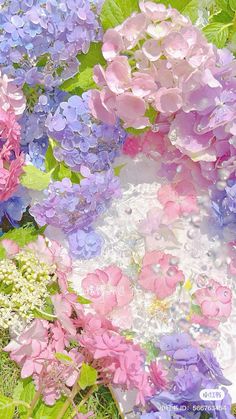 Flowers And Their Names, Tinker Fairy, Flowers For Algernon, Flowers In The Attic, Your Wallpaper, Flower Iphone Wallpaper, Lets See, Cute Flower Wallpapers