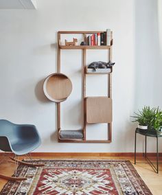 a room with a rug, chair and book shelf on the wall next to a potted plant