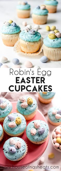 an image of easter cupcakes with blue frosting