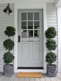 two potted plants are on the front porch next to a white door with glass panes