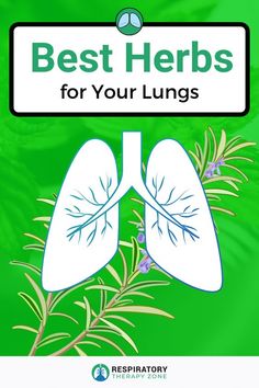 Herbs For Lung Health, Clear Mucus, Asthma Remedies, Healthy Herbs