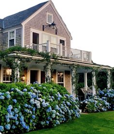 a house with blue hydrangeas in front of it