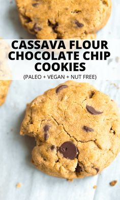 two chocolate chip cookies on parchment paper with the words paleo chocolate chip cookies vegan + nut free