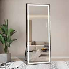 a large mirror sitting on top of a floor next to a potted green plant