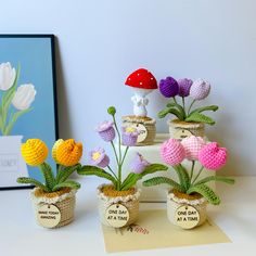 small crocheted pots filled with flowers on top of a white table next to a card