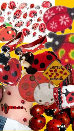 a collage of ladybugs and other items