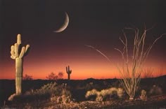 the moon is setting behind a saguado cactus and a full moon in the sky