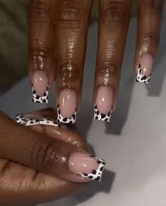 Cow Print Short Acrylic Nails, Cow Print Toe Nails, Nail Inspo Cow Print, Short Cow Nails, Beginner Nail Designs, Cow Print Nails, Black Gel Nails, 2023 Nail, Cow Nails