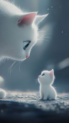 two white kittens looking at each other in front of a dark background with water droplets