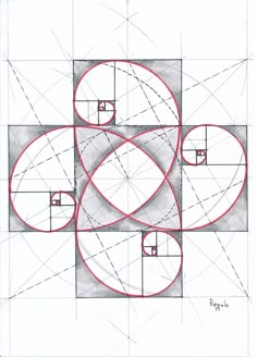 a drawing with circles and lines on it