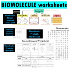 the worksheet for biomoleque worksheets is shown in blue