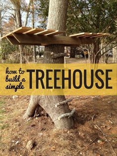 a sign that says how to build a treehouse in front of a large tree