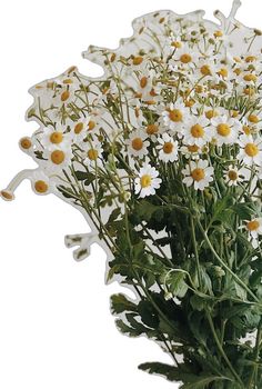 a vase filled with lots of white and yellow flowers