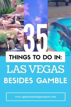 las vegas's besidess gambling is the best thing to do in this trip