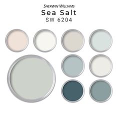 the sea salt color scheme for sherylin williams's paint swatches, including two