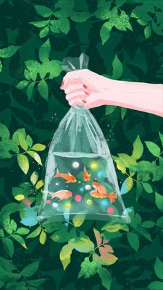 a hand is holding a bag full of goldfish in front of green leaves and plants