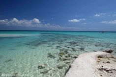 the water is crystal clear and blue