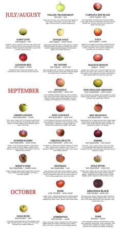 an apple chart with different types of apples in each section and the names below it