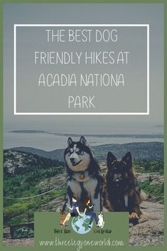 two dogs sitting on top of a mountain with the words, the best dog friendly hikes at acadia national park