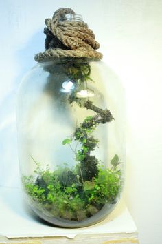 a glass jar filled with plants on top of a table