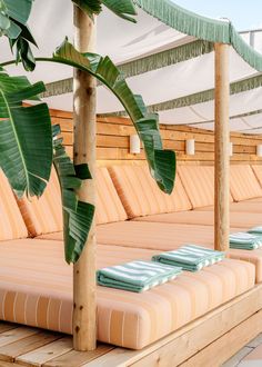 the couches are lined up on the wooden platform under the awnings with green leaves