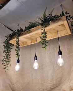 several light bulbs hanging from a wooden beam with plants growing on it and some lights in front of them