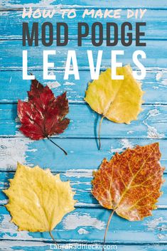 four leaves with the words how to make diy modpodge leaves on them