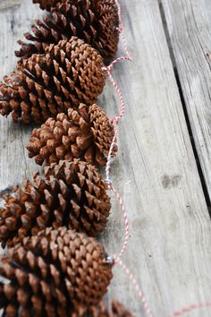 several pine cones are lined up on a wooden surface with twine and twine